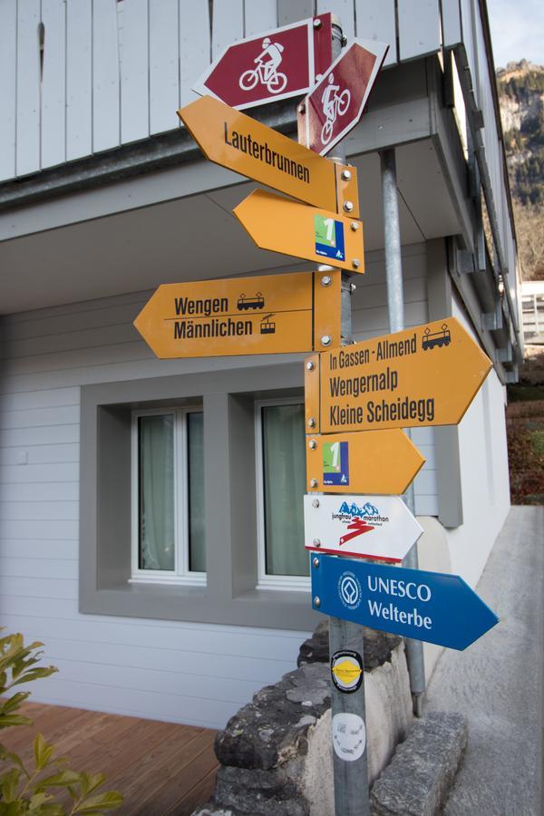 Hirschen 2